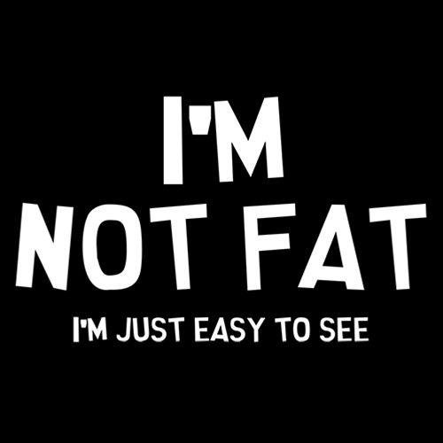 I'm Not Fat I'm Just Easy To See T-Shirt product image 2