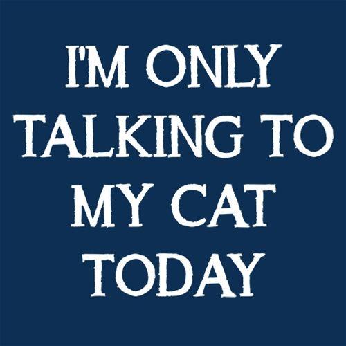 I'm Only Talking To My Cat Today T-Shirt product image 3