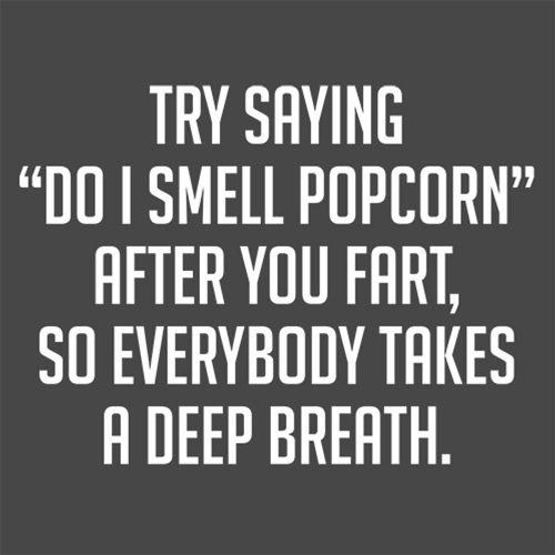 Try Saying "Do I Smell Popcorn" After You Fart, So product image 2