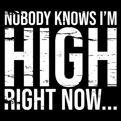 Nobody Knows I'm High Right Now... T-Shirt product image 2
