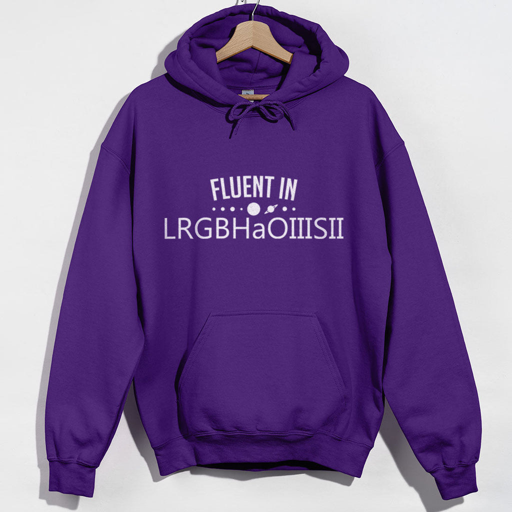 Fluent in LRGBHaOIIISII Hoodie product image 5