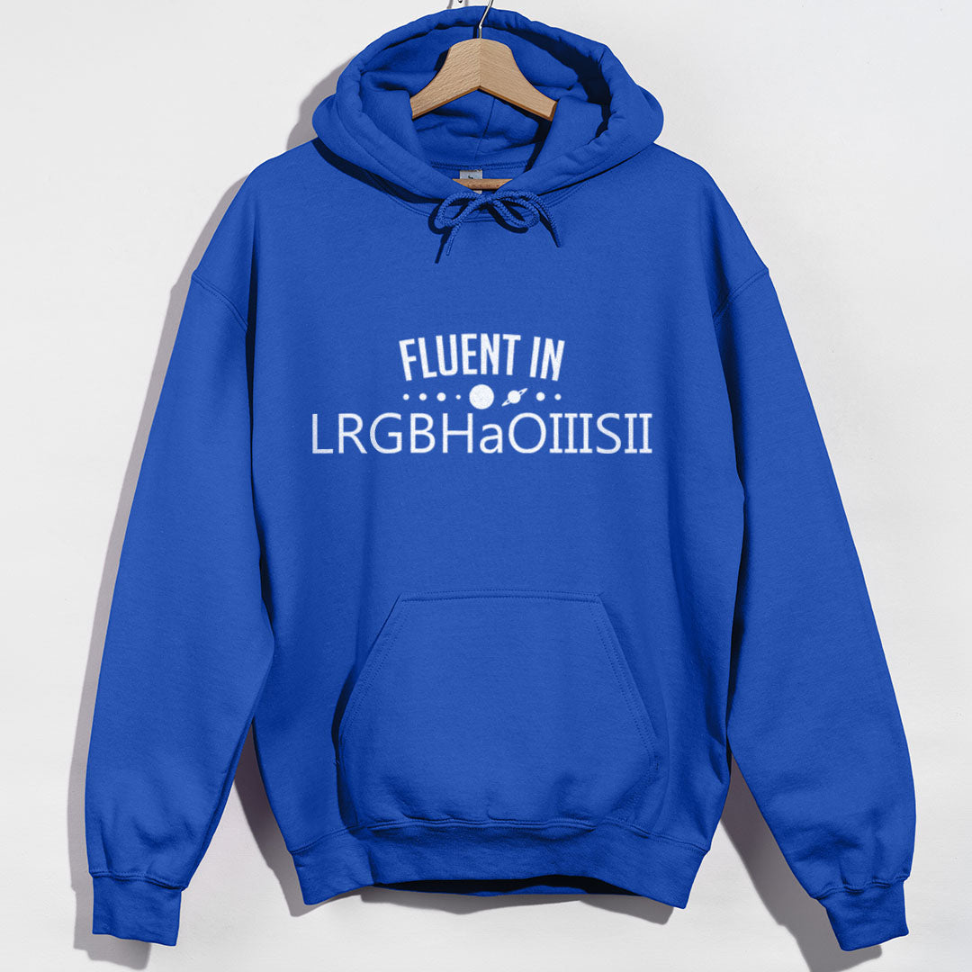 Fluent in LRGBHaOIIISII Hoodie product image 6