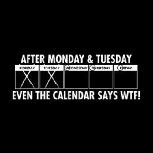 After Monday & Tuesday Even The Calender Says WTF T-Shirt product image 2