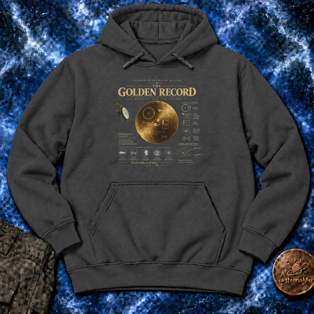 The Golden Record Hoodie product image 2