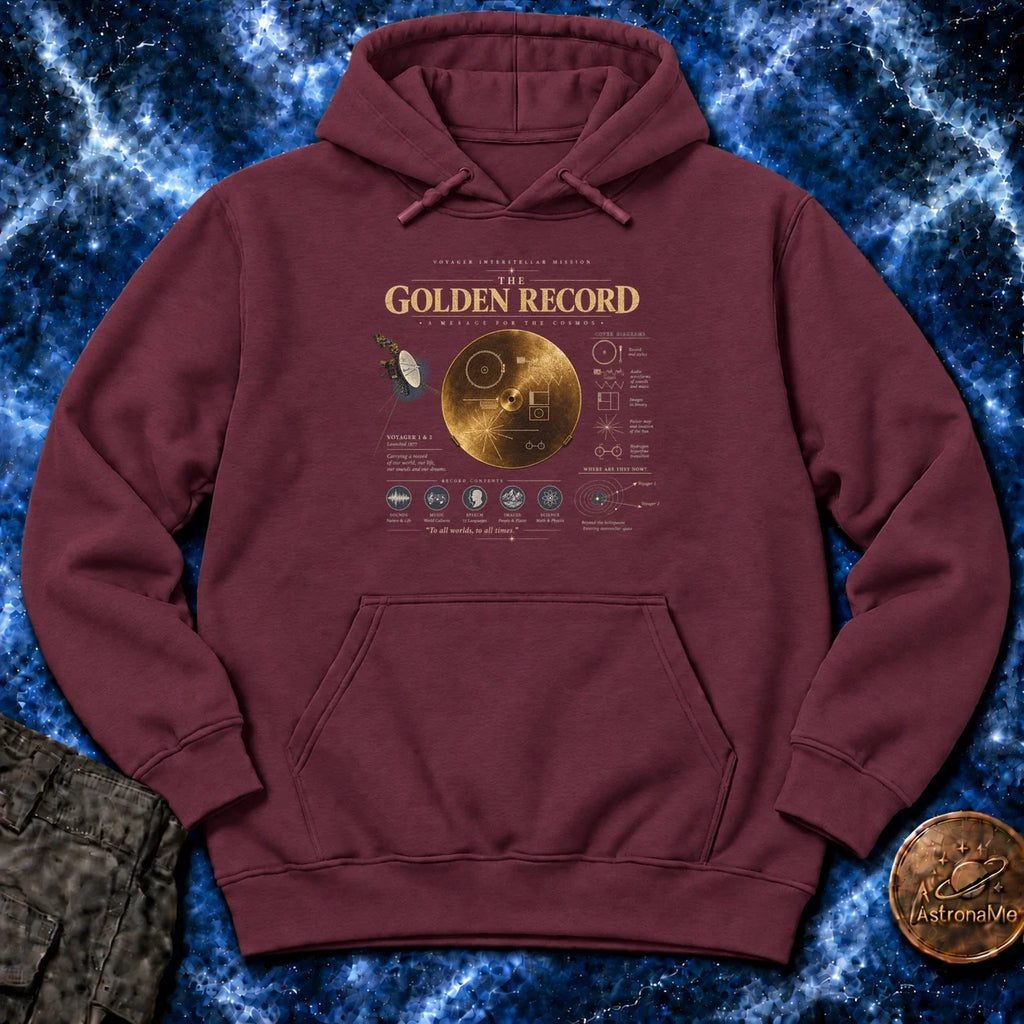 The Golden Record Hoodie product image 3