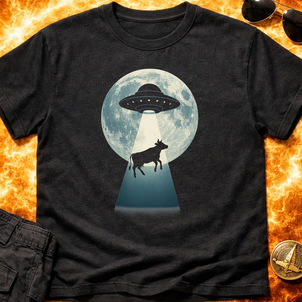 UFO Abduction product image 3