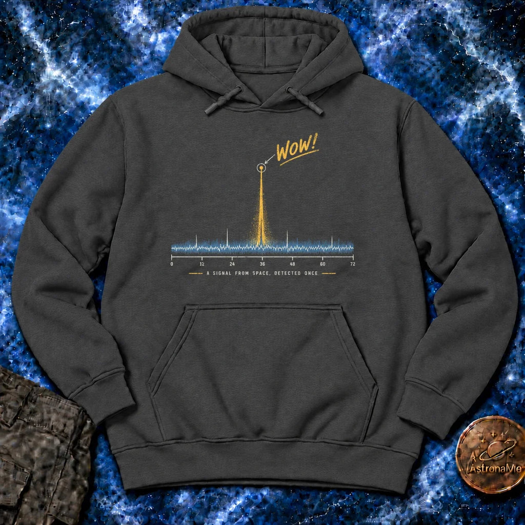 WOW Signal From Space Hoodie product image 2